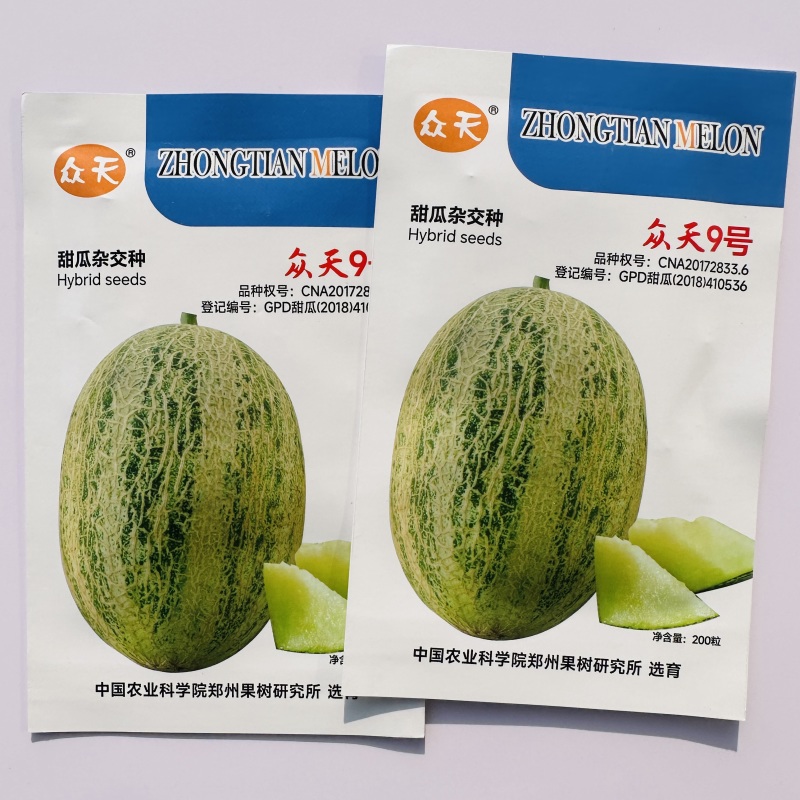 众天9号甜瓜种子中熟网纹瓜种子厚皮甜瓜种籽高糖度肉质细脆