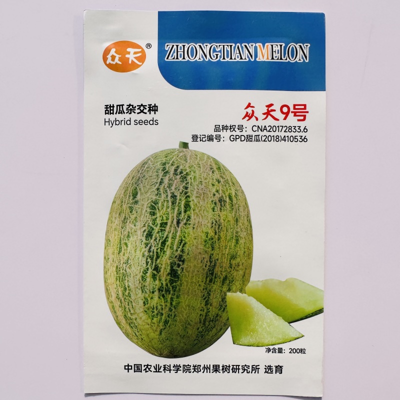 众天9号甜瓜种子中熟网纹瓜种子厚皮甜瓜种籽高糖度肉质细脆