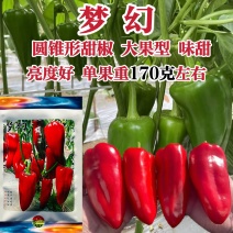 华渝梦幻红辣椒种子长圆锥形甜椒种子大果红尖椒大红泡椒种子