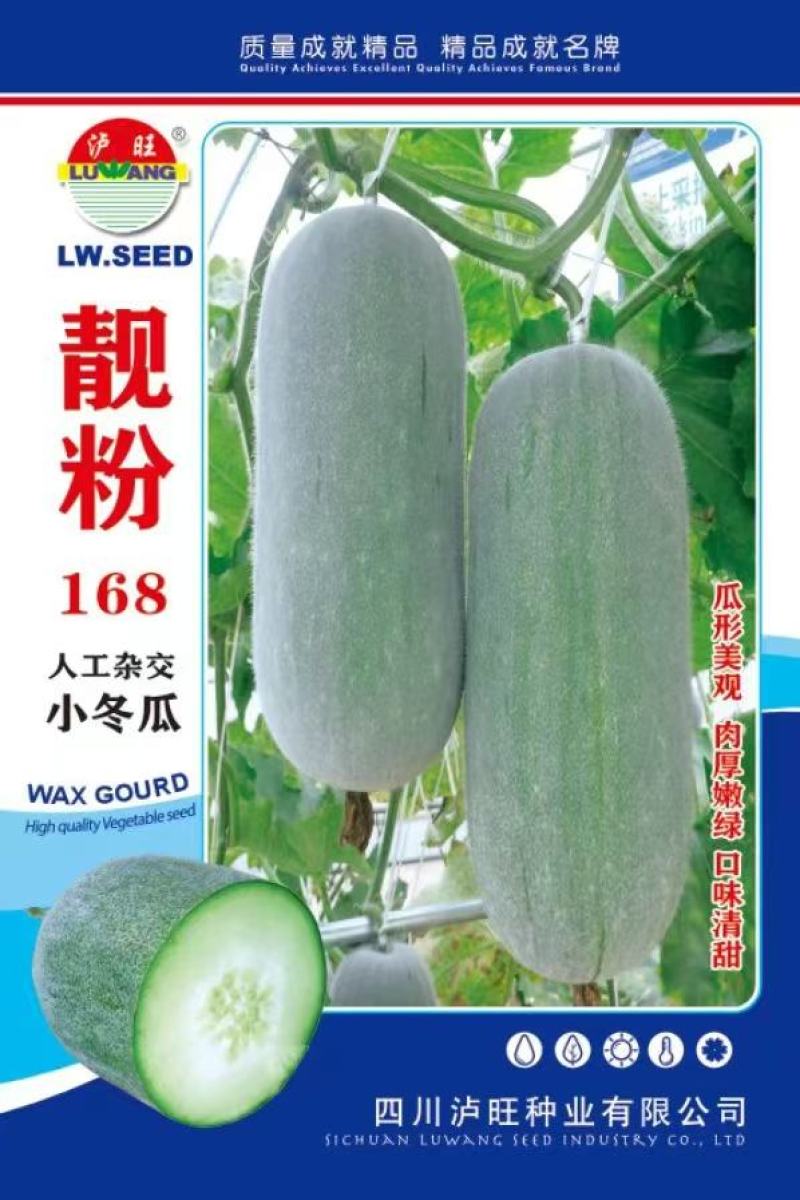 冬瓜种子靓粉168白皮小冬瓜结瓜密肉厚嫩绿口味香