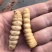 斗米虫出售云实蛀虫天牛幼虫