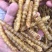 斗米虫出售云实蛀虫天牛幼虫