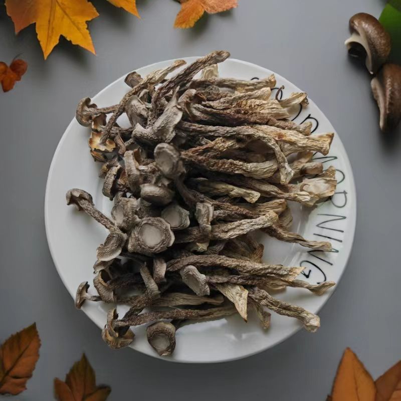 100克鹿茸菇精心挑选优质食材煲汤炒菜味美香甜
