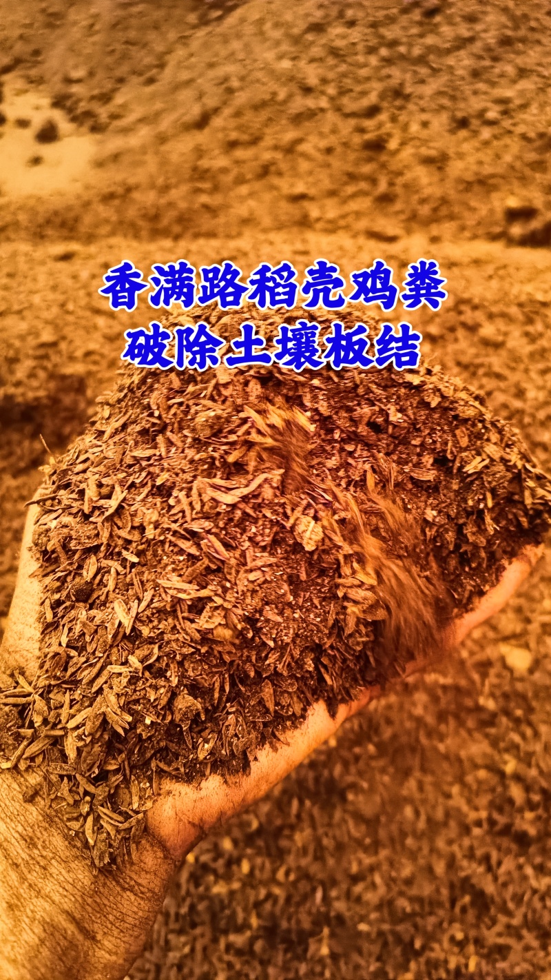 聊城稻壳鸡粪,济南发酵鸡粪,淄博稻壳鸡粪,烟台鸡粪肥农田