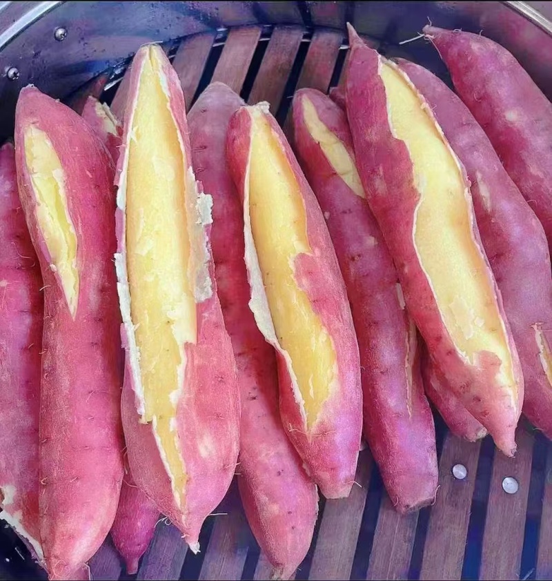 陕西大荔板栗红薯秦五有货，自产自销品质有保证