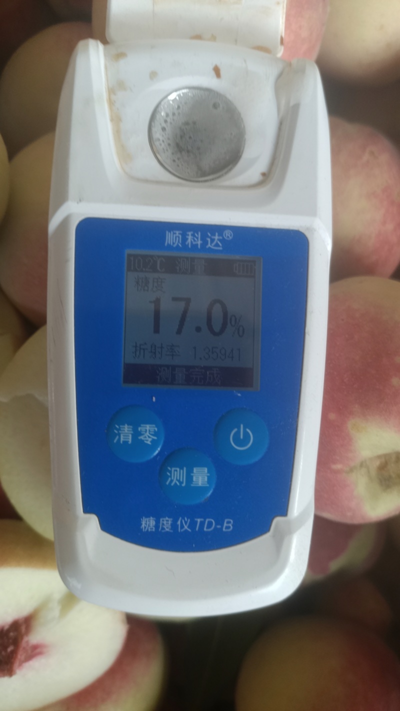 映霜红桃子