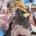 黑猪肉,农村散养土猪黑猪肉,量大从优全国可发,电话联系对