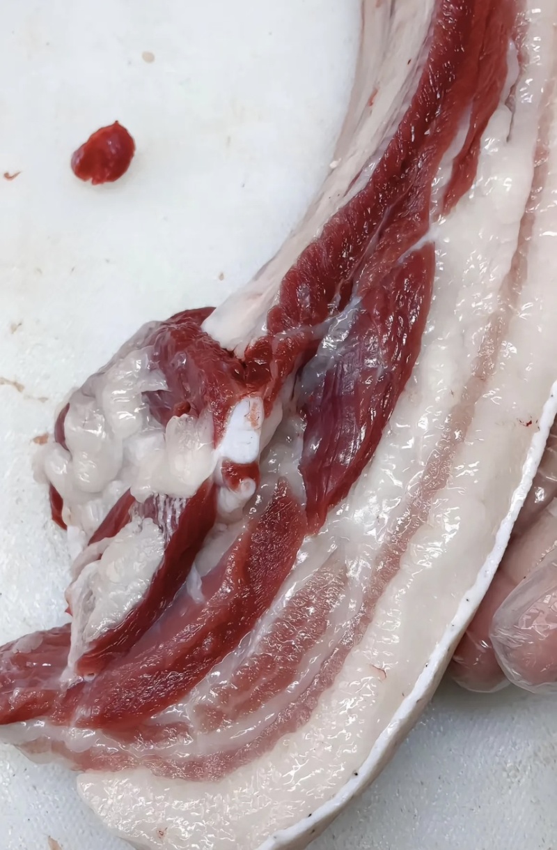 黑猪肉，农村散养土猪黑猪肉，量大从优全国可发，电话联系对
