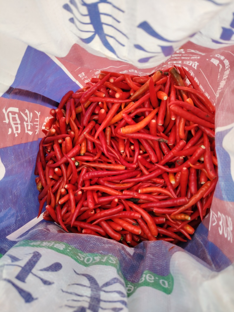 云南小米椒大量有货对接电商市场工厂货一手货源