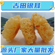 古田银耳无硫雪耳大花银耳干货各规格齐全支持代办