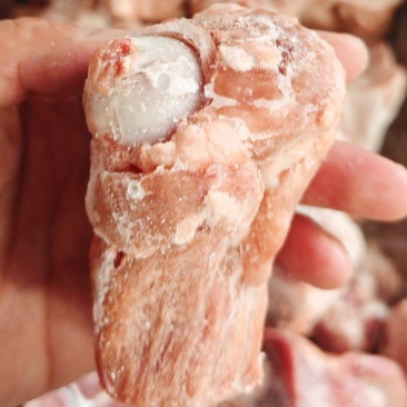 多肉后腿骨块