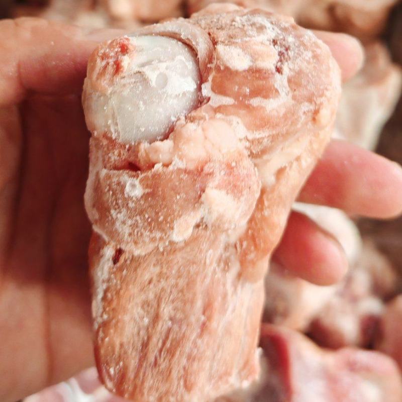 多肉后腿骨块