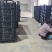 进口芍药种苗包对版假一赔十沙拉以及几十个品种