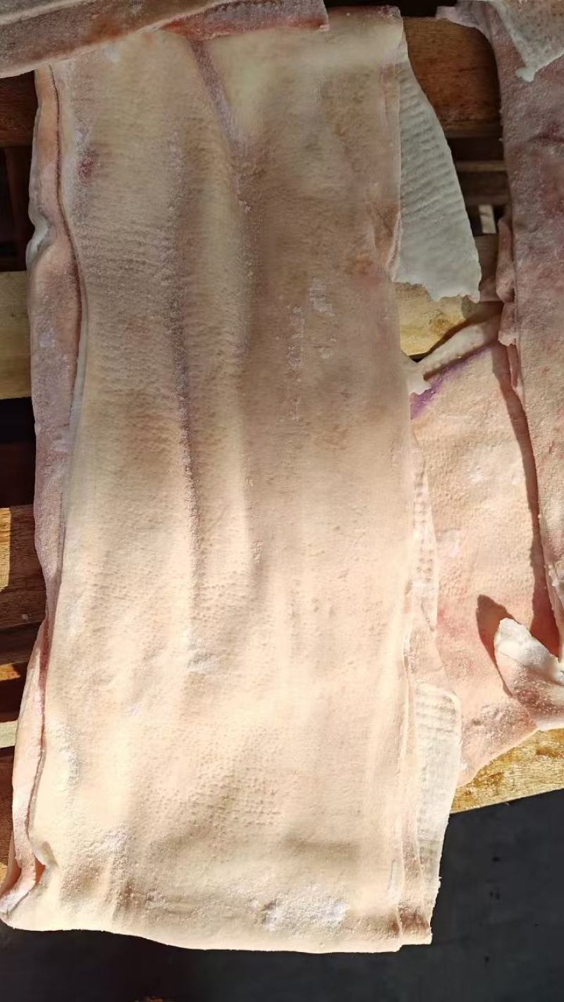 肥猪宽脊皮无毛无油11500一吨量大可议免定金看货可发样