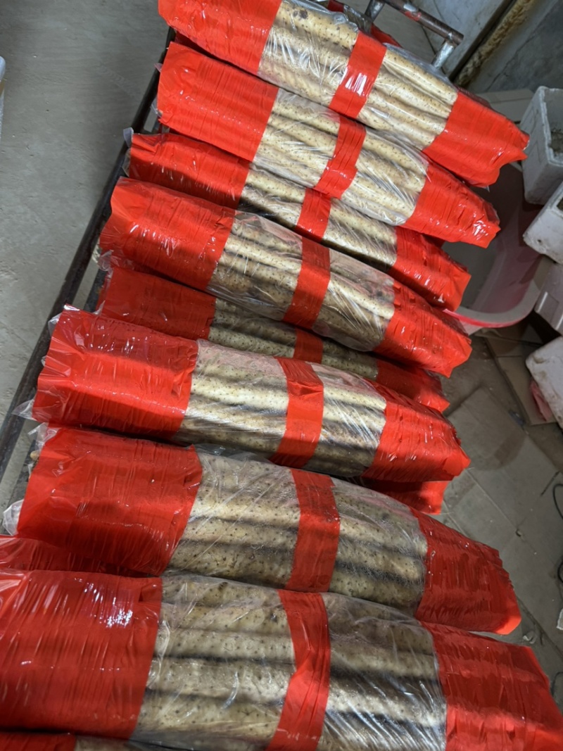 【推荐】小白嘴山药一手货源大量批发可视频看货欢迎订购