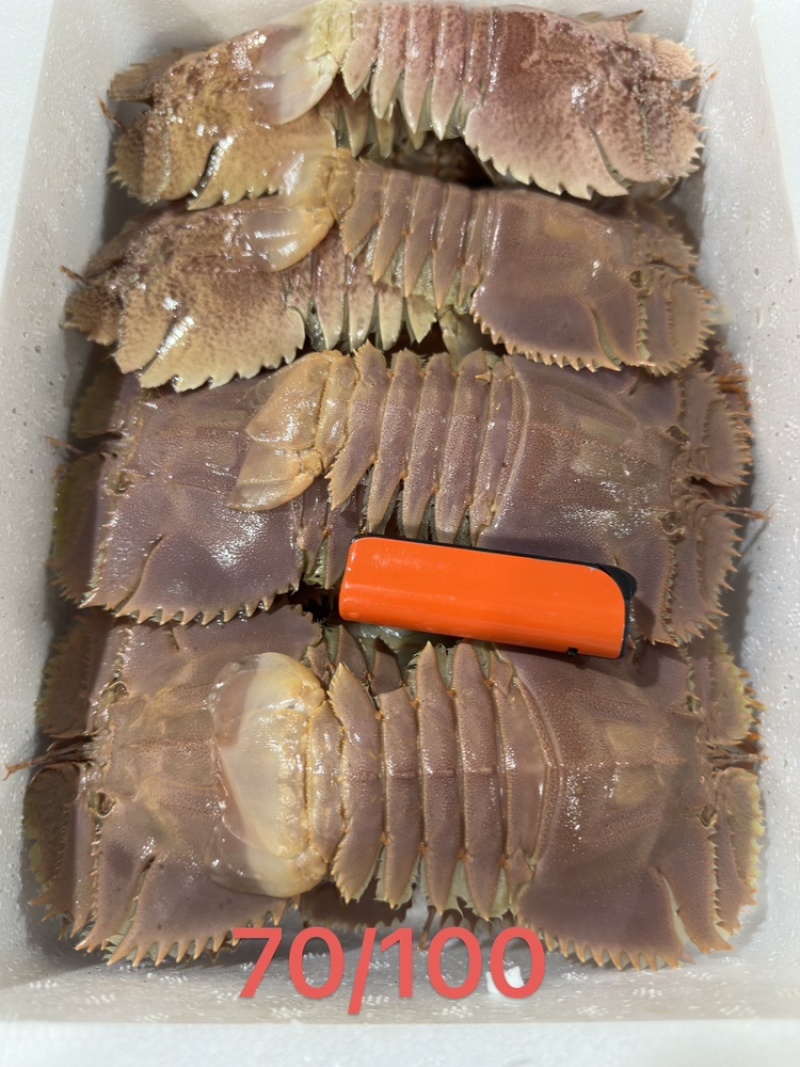 琵琶虾排虾九齿虾蝴蝶虾新鲜冷冻海虾一手货源