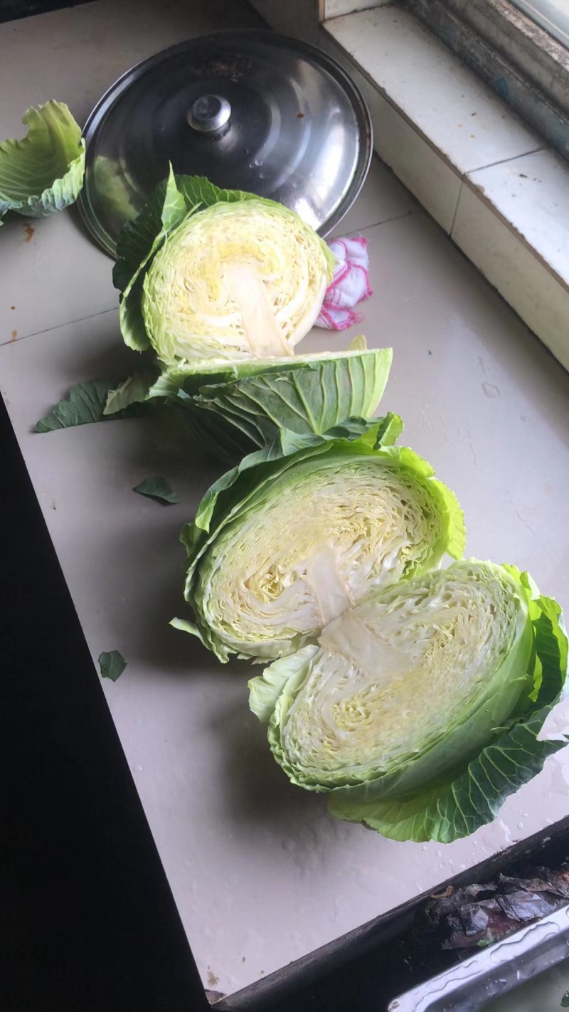 包菜大量上市，低价出售！欢迎新老客户来电来人