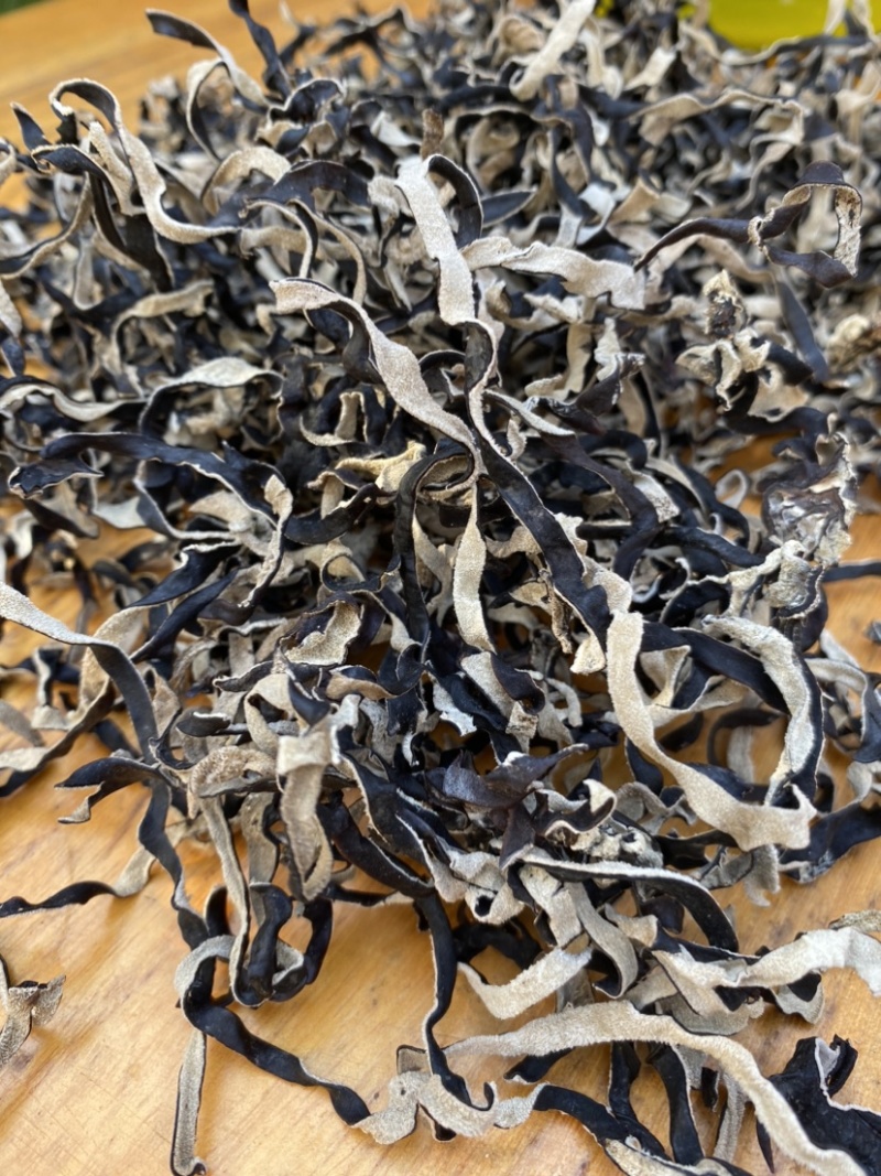 木耳丝白背木耳丝头茬木耳丝螺蛳粉商用木耳丝