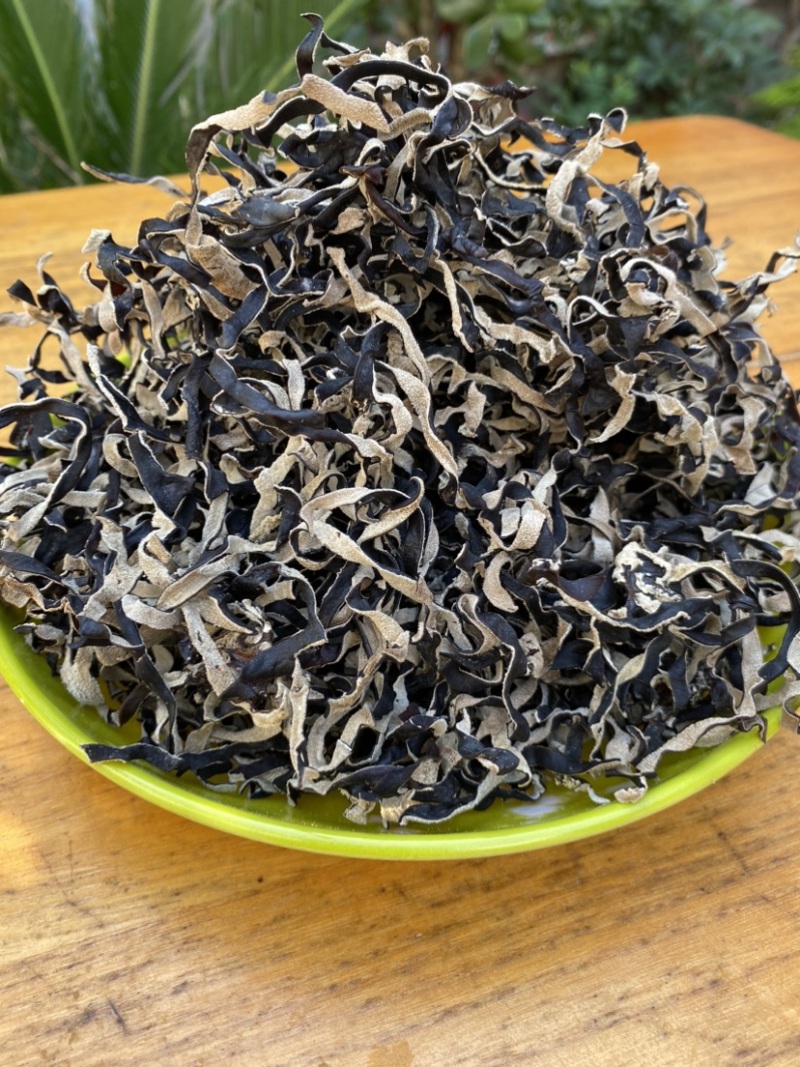 木耳丝白背木耳丝头茬木耳丝螺蛳粉商用木耳丝