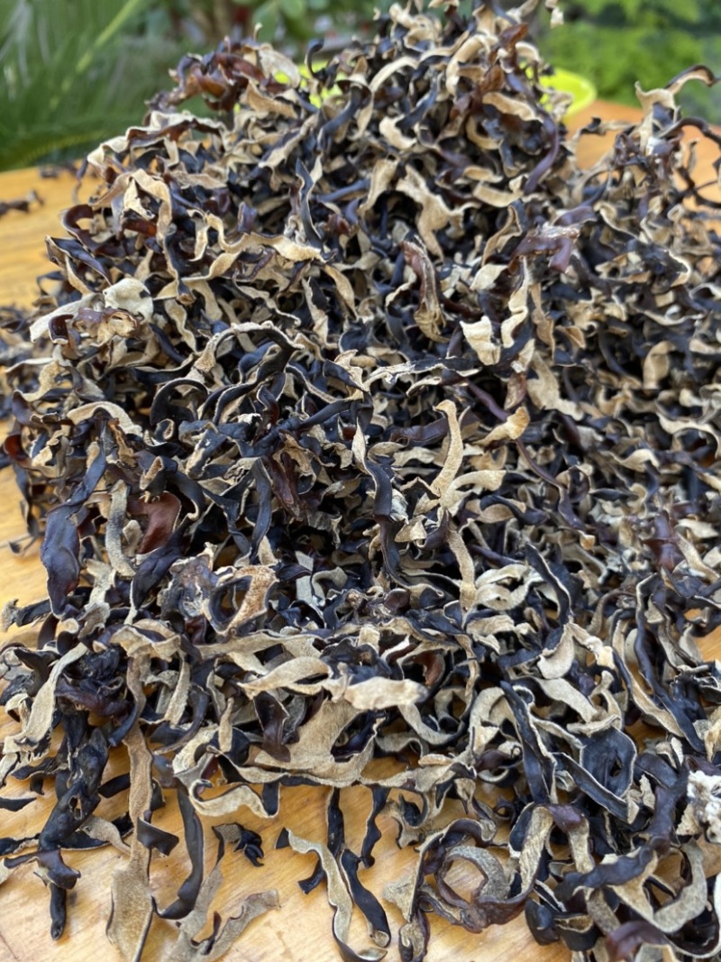 木耳丝白背木耳丝头茬木耳丝螺蛳粉商用木耳丝