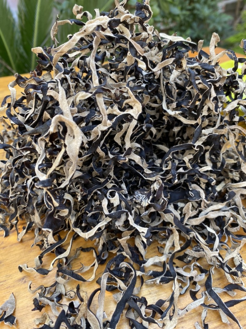木耳丝白背木耳丝头茬木耳丝螺蛳粉商用木耳丝