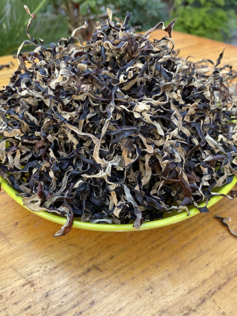 木耳丝白背木耳丝头茬木耳丝螺蛳粉商用木耳丝