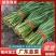 精品广东韭菜凌海精加工保质量包售后东西对得起价钱