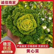【推荐】产地直发.黄心乌，乌塌菜5-8公分一手货