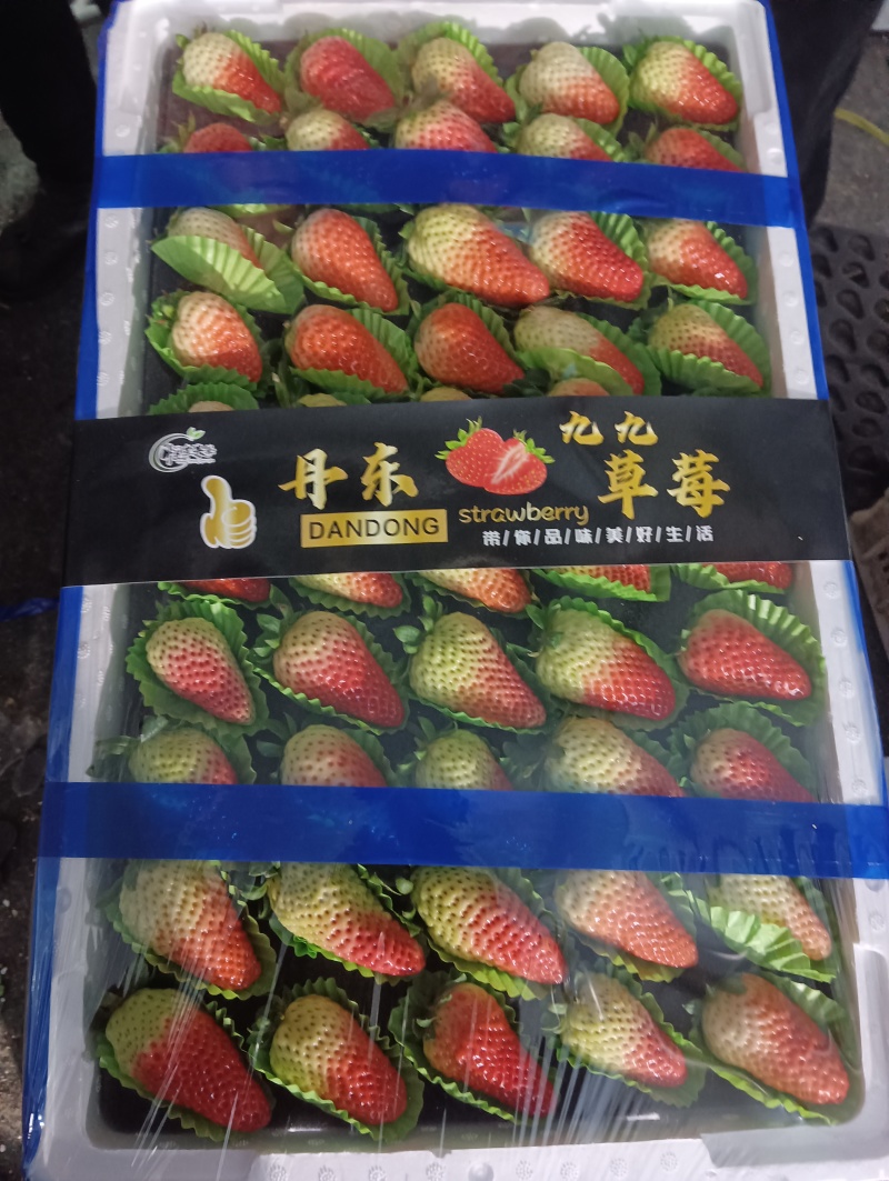 万亩草莓久香联盟天仙醉艳丽金刚货源稳定精品包装，供应全国