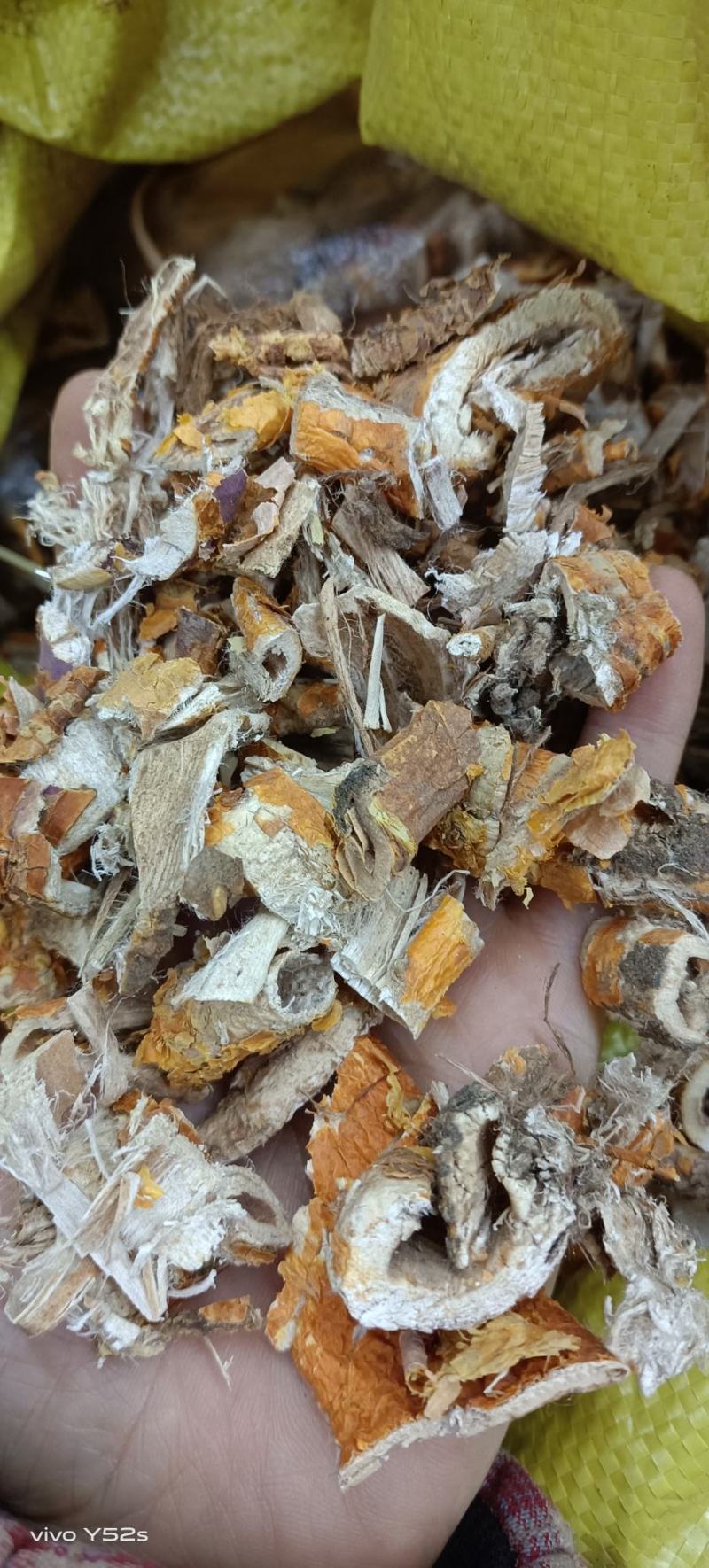 桑白皮，老树桑皮，支持在线下单