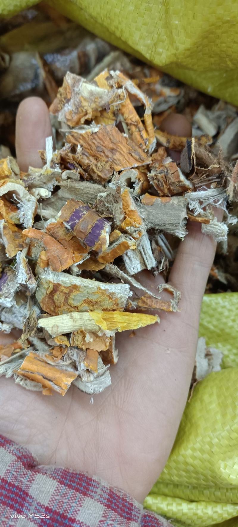 桑白皮，老树桑皮，支持在线下单