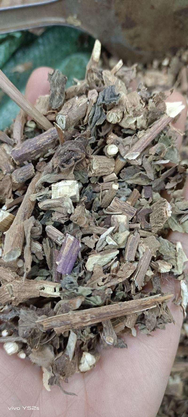 霍香全草类中药，各种冷背中药实体加平台让您售后无优，