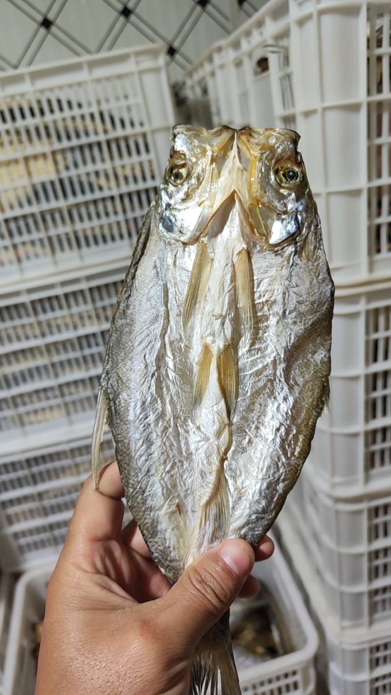 腊鱼