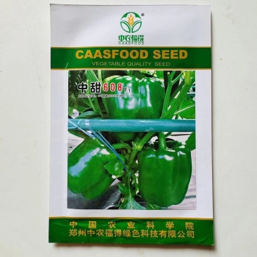 中甜608甜椒种子早熟方灯笼型大果辣椒种子春秋播辣椒籽