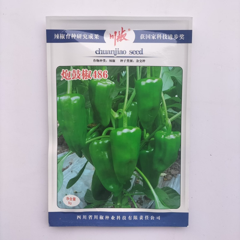 中甜608甜椒种子早熟方灯笼型大果辣椒种子春秋播辣椒籽