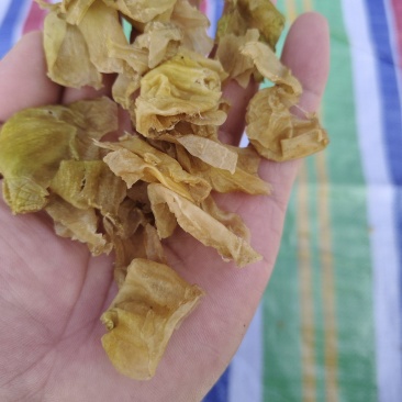 鸡内金清洗干净厂家直销假一赔十不包邮