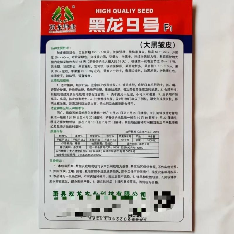 黑龙九号大黑皱皮椒种子高产抗病油黑发亮采收期长大田基