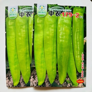 中农179-2早熟大果型粗牛角椒种子黄绿皮耐热耐运高产
