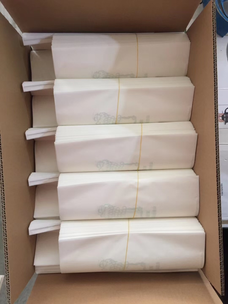 【牛商推荐】优质水果套袋葡萄、梨精品包装袋欢迎来电