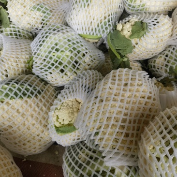 青梗散花产地直发一手货源支持视频看货欢迎电话联系