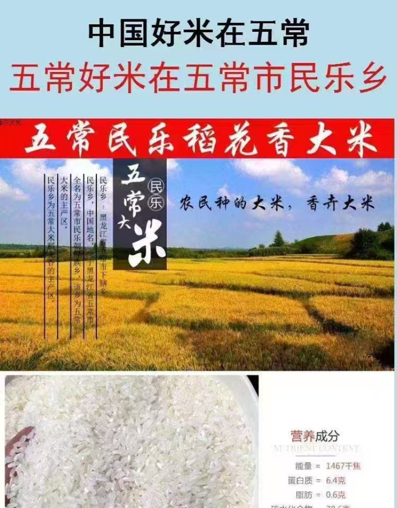 东北五常大米稻花香米货源充足可一件代发