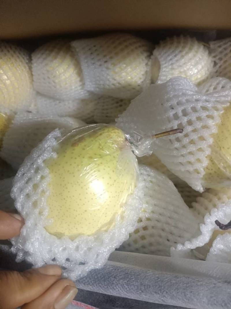 新鲜梨果，甜蜜多汁，健康美味，**特惠，速来选购！