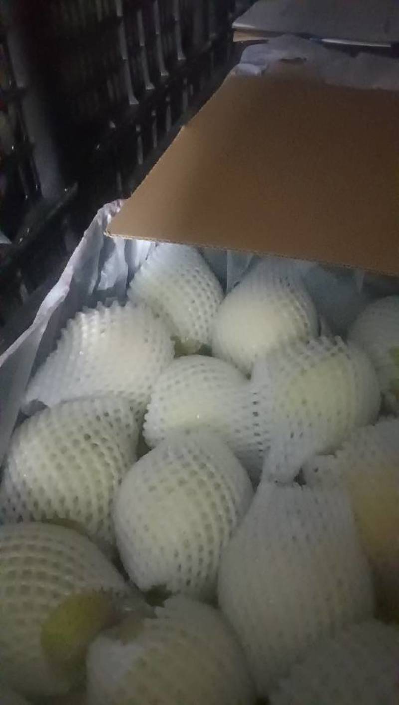 新鲜梨果，甜蜜多汁，健康美味，**特惠，速来选购！