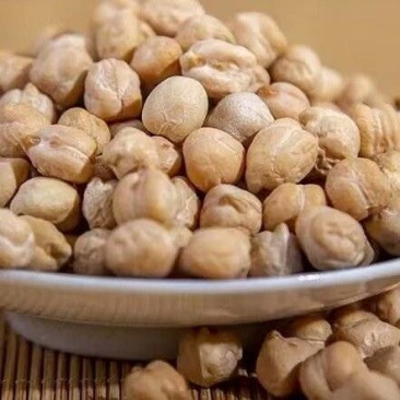 鹰嘴豆