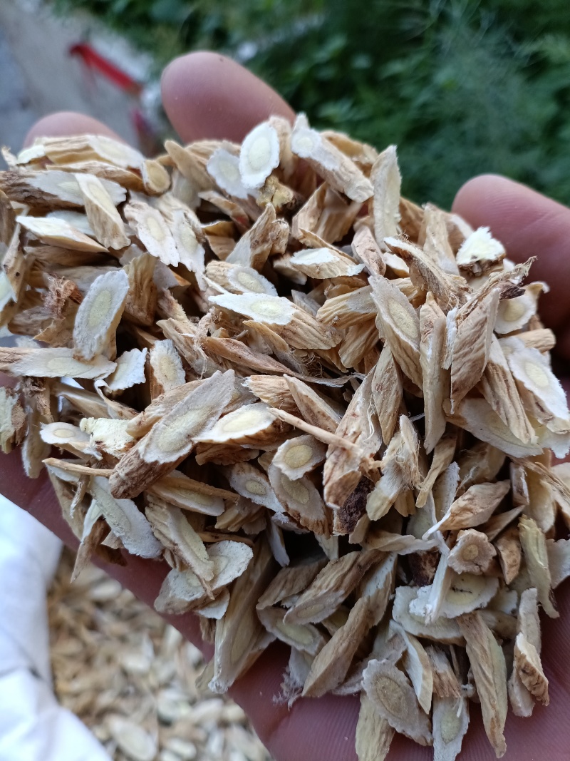 黄芪/山西黄芪片/精选好货/批发兼零售，量大可商议，包邮