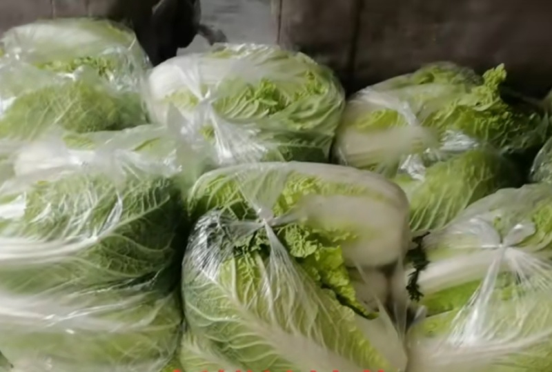 娃娃菜商超**物美价廉