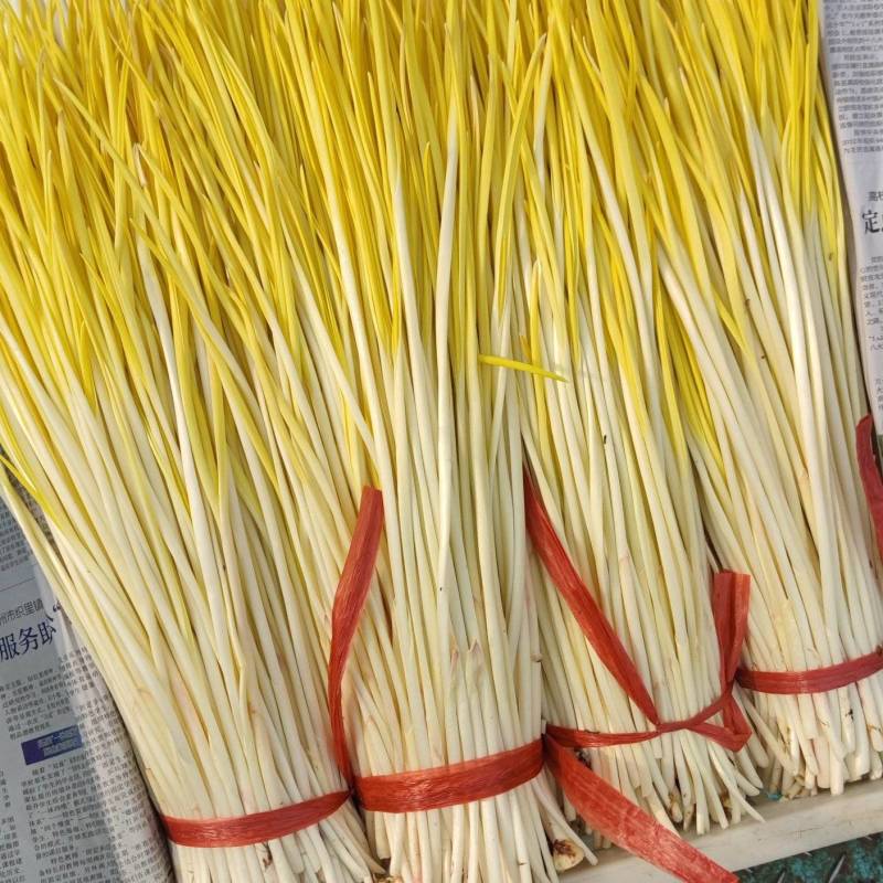 蒜黄精品