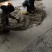 内蒙古特大麻子，颗粒饱满干净无杂质，量大从优，可视频看货