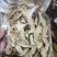 松茸干片，都是深山里面大量有货，保质保量，批发零售！