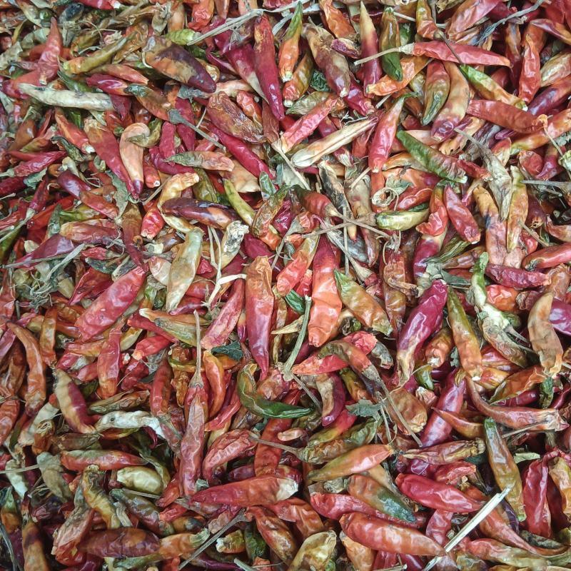 花皮辣椒